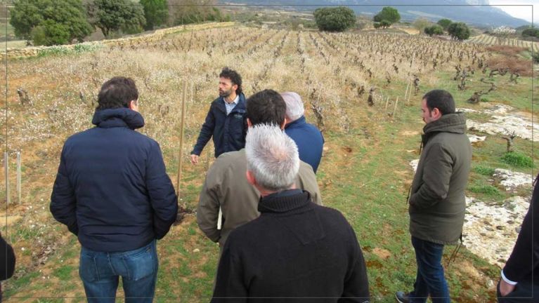 a-pie-de-vina-bodegas-amaren-luis-canas